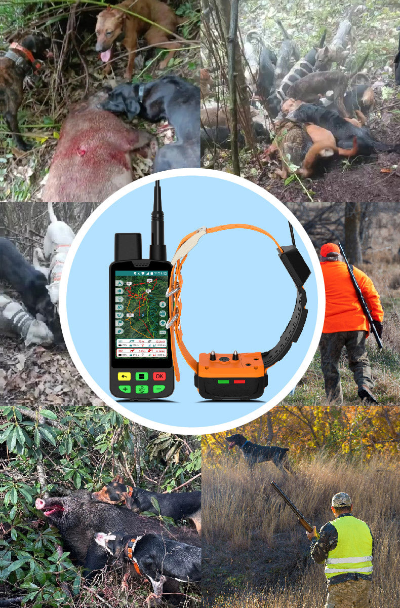 GPS kit for hunting dogs