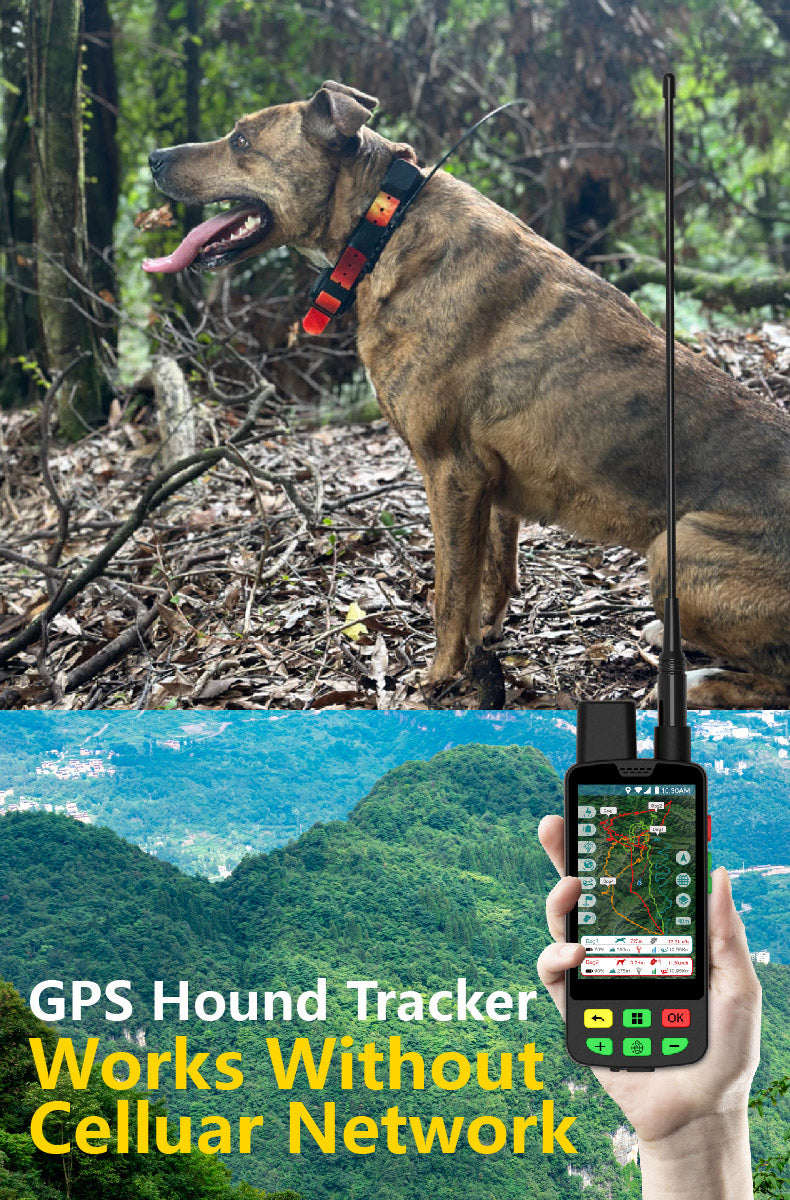 GPS kit for hunting dogs