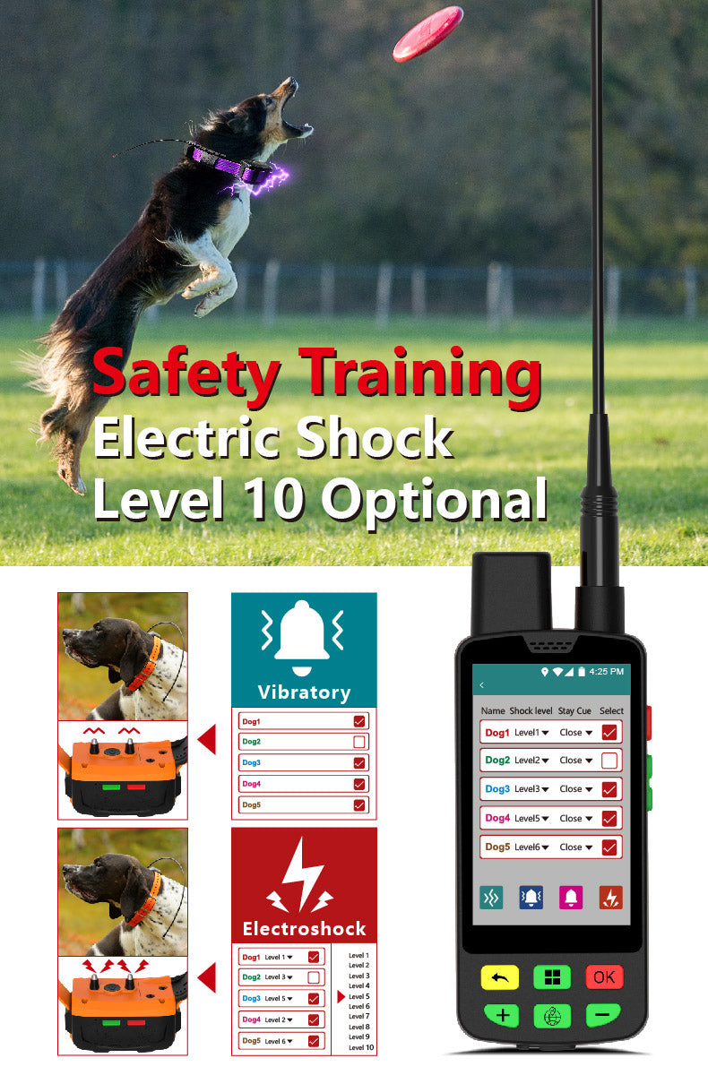 GPS kit for hunting dogs