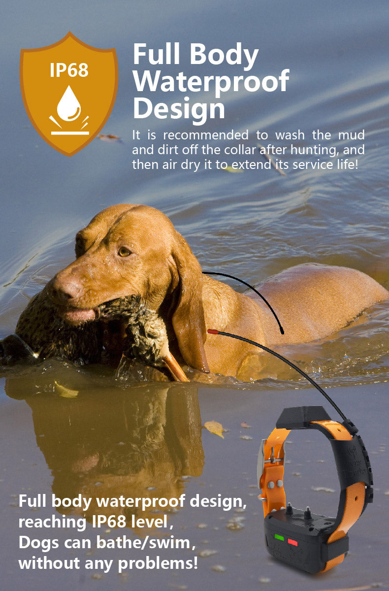 GPS kit for hunting dogs