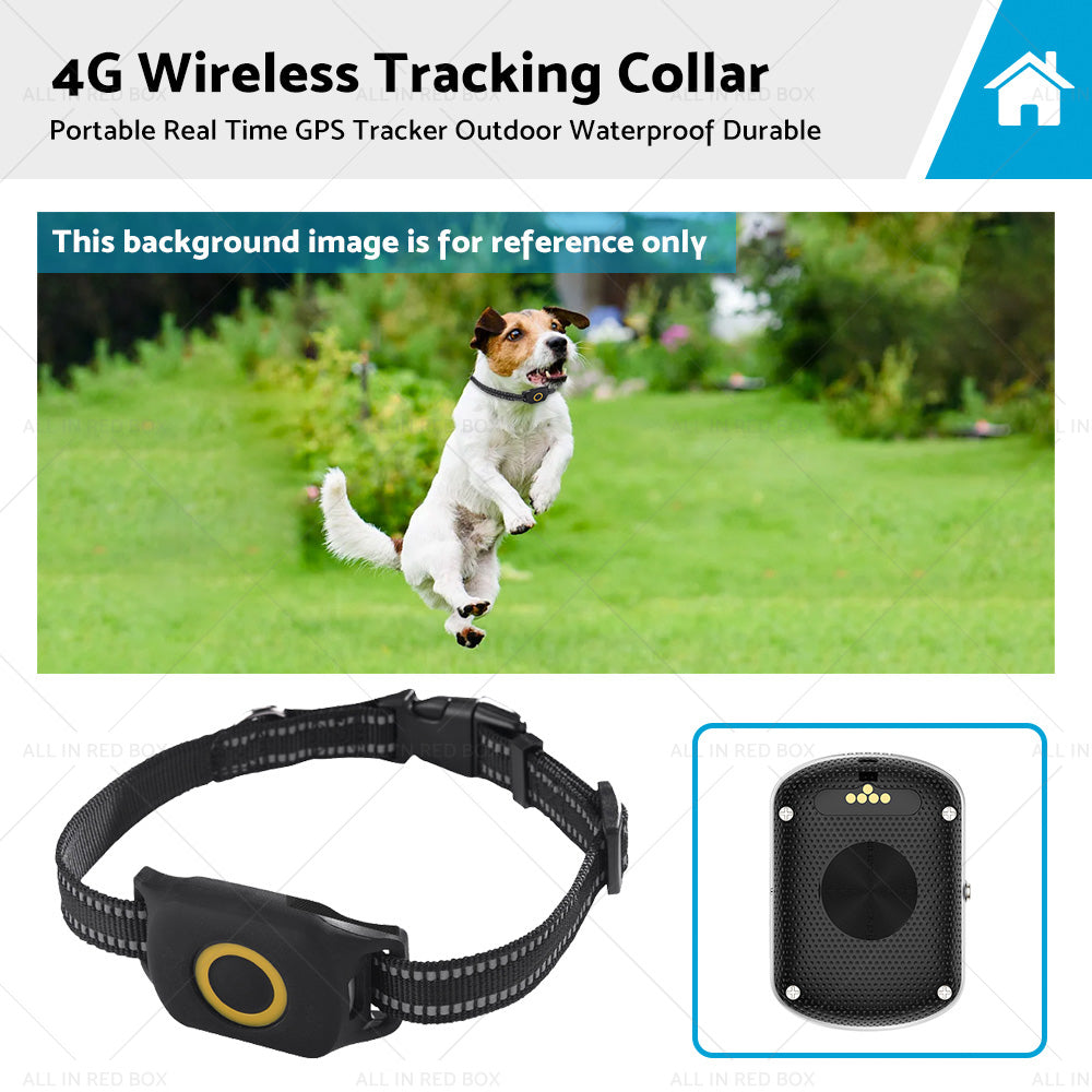 4G Wireless Portable Real Time GPS Dog Tracker Outdoor Waterproof Durable Collar-0